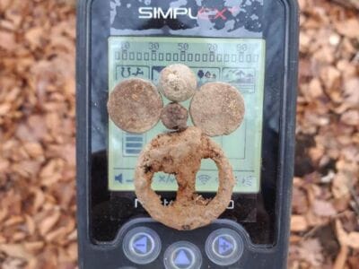 Hay,forest and Simplex