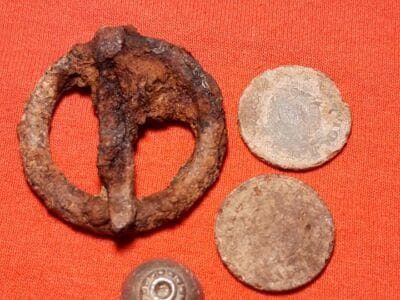 Hay,forest and Simplex