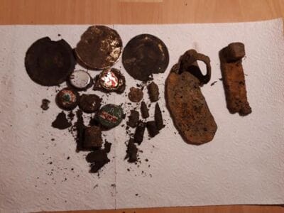 Hay,forest and Simplex