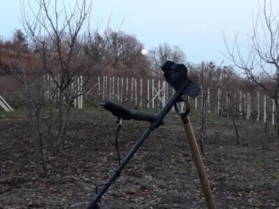 Hay,forest and Simplex