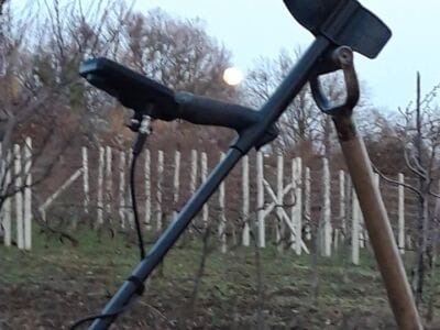 Hay,forest and Simplex