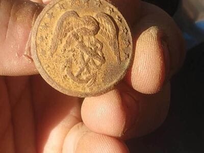 I'm loving this Anfibio