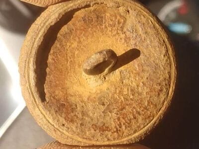 I'm loving this Anfibio