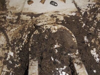 Pleasant days with Gold Kruzer