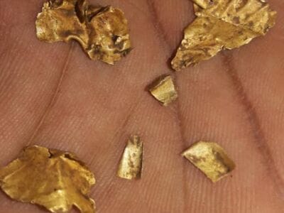 Pleasant days with Gold Kruzer