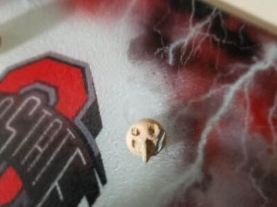 Simplex has been great to me