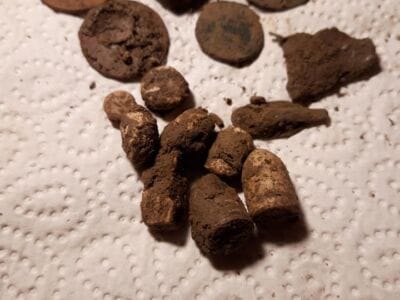 Today with Simplex on new meadow,little trash and good signalshh