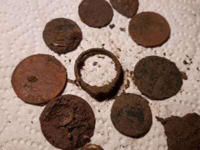 Today with Simplex on new meadow,little trash and good signalshh