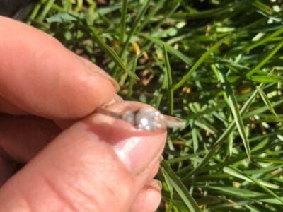 A few cool finds with my Anfibio