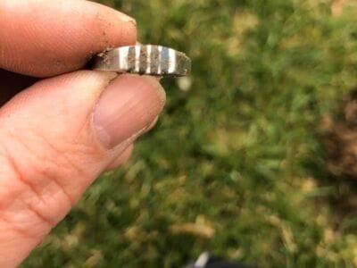 A few cool finds with my Anfibio