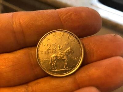 A few cool finds with my Anfibio