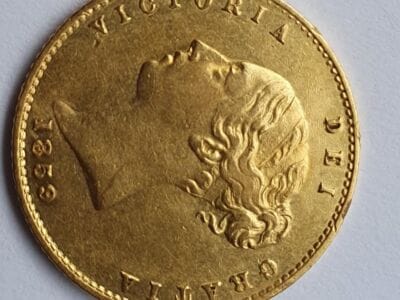 Best bits of the Anfibio Multi