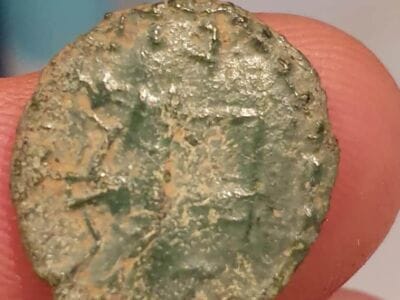 Best bits of the Anfibio Multi