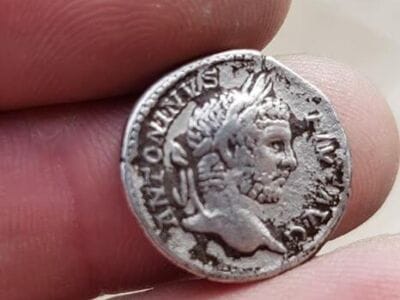 Best bits of the Anfibio Multi