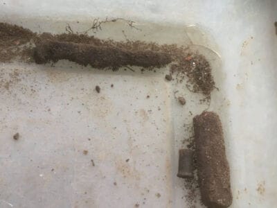 Happy with the SimplexHappy with the Simplex