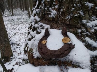 I found on the old forest road