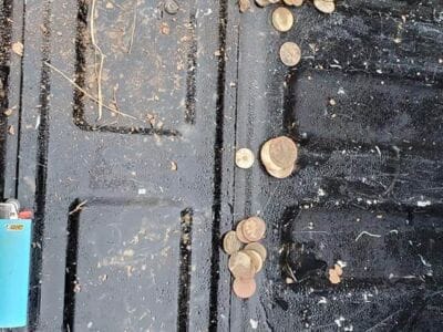 Quick hunt with Anfibio