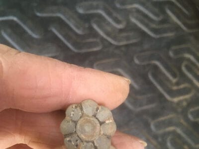 Absolutely lovely morning