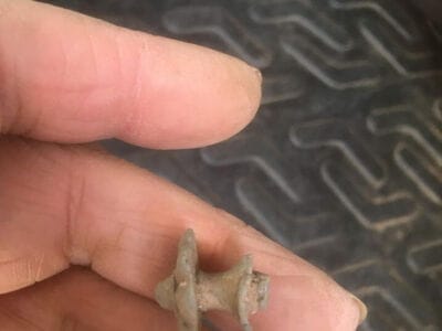 Absolutely lovely morning