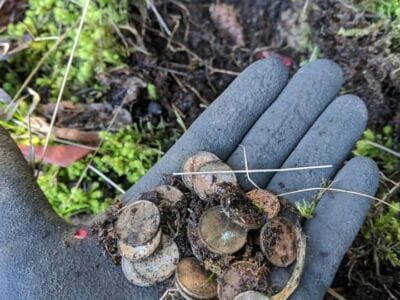 Good second day with new machine