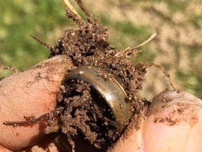 Have been out of action over the last