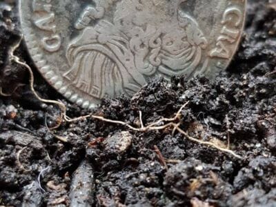 My first hammered with the Simplex+