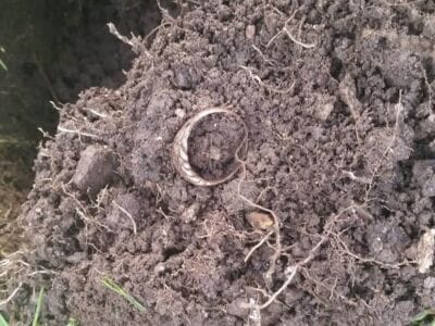 Only 3rd time out with Simplex