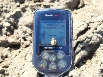 Simplex metal detector killing again