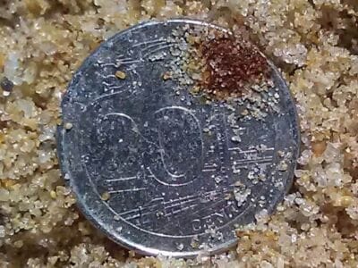 A few finds with the Simplex+ on the beach