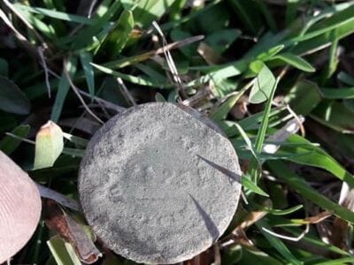 Recorrí otro campo que ya fue detectado