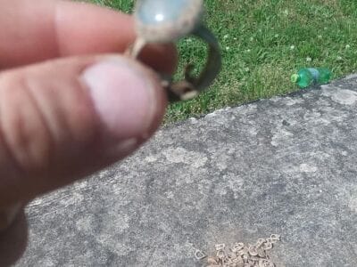 Three ring day with the simplex