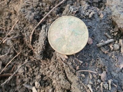 Today in Sydney Australia