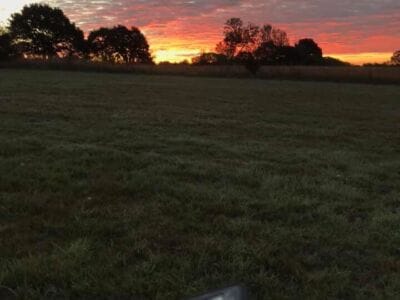 A few bits this morning