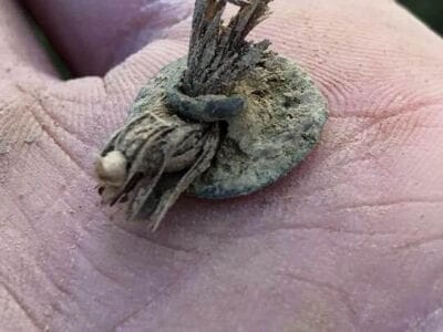 A few bits this morning