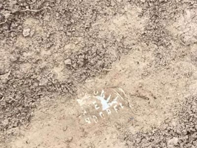 A few bits this morning