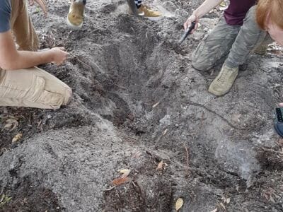 Knight's sword found with Simplex