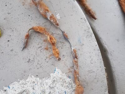 Knight's sword found with Simplex