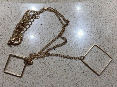 Anfibio Multi Beach Hunt 1