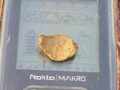 First Ring Of This Year Cover 2