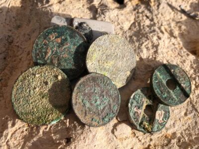 Anfibio Multi Beach Hunt #3