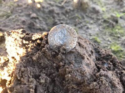 Henry VIII sovereign type penny