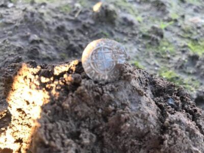 Henry VIII sovereign type penny