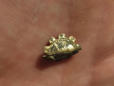 Midi hoard does it for my boy