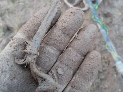 Yesterday's finds with the Simplex 1