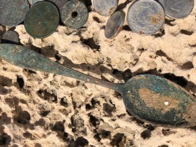 Anfibio Multi beach hunt 14/12/2020