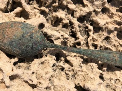 Anfibio Multi beach hunt 14/12/2020