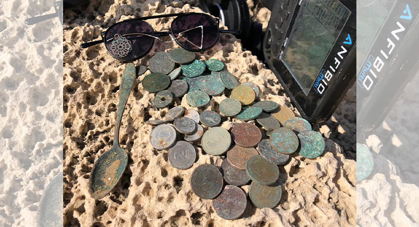 Anfibio Multi beach hunt 14/12/2020