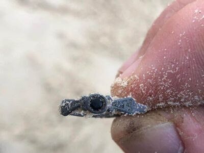 Anfibio Multi Beach Hunt 17.03.2021