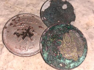 Anfibio Multi Beach Hunt 17.03.2021