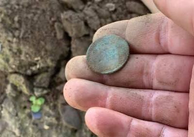 Back out with the Simplex